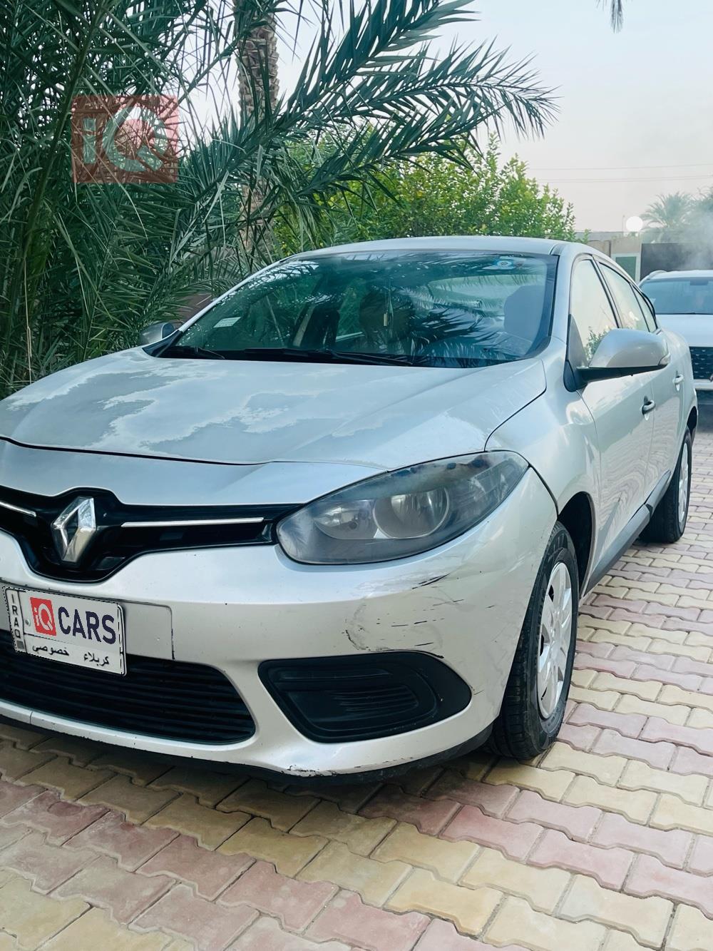 رينو فلوينس